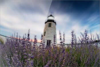 Lavender Dusk – Acrylic Print Film and Fire Film & Fire